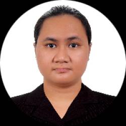 Civil Engineer