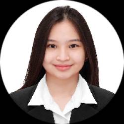 Licensed Civil Engineer