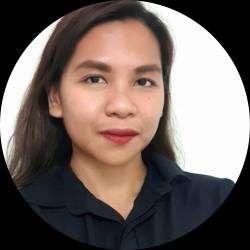 Virtual Assistant - IT project Manager