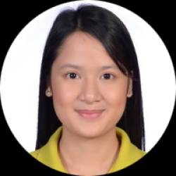 Physical Therapist