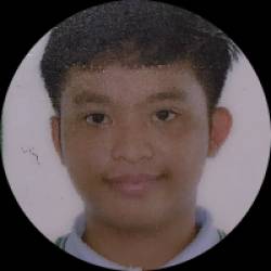 QA Tester, IT Intern, Backend Developer Jr., Virtual Assista
