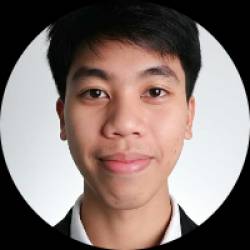 WordPress Developer & Figma Designer