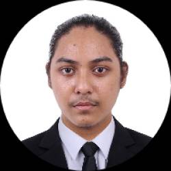 Game Developer