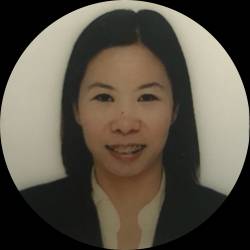 IT Project Manager