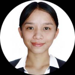 Accountant/Virtual Assistant