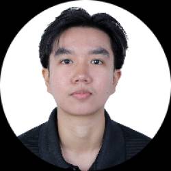 Website Developer