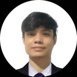AI Application Developer