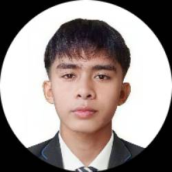 Virtual Assistant