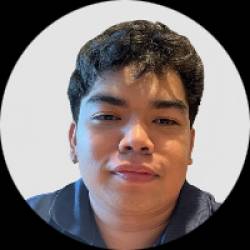 WordPress and Shopify Web Developer