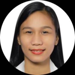 Civil Engineer