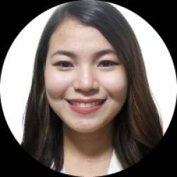 Credit and Account Receivables Analyst