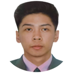 AI & No-Code Automation Specialist