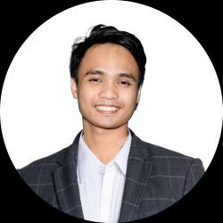 IT Business System Consultant