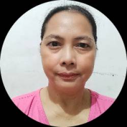Data Entry Professional/Admin VA/Executive Assistant