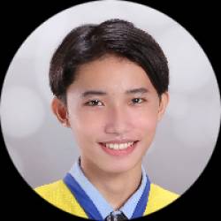 Executive Virtual Assistant