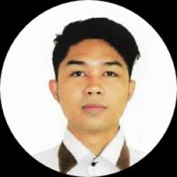 Software Developer