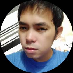 Vitual Assistant| Go High Level | Wordpress Expert |CSS | PH