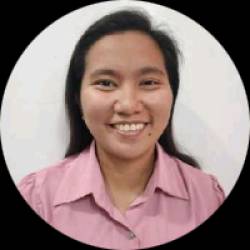 Civil Engineer/Hydrologist