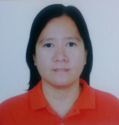 Global Quality Evaluator