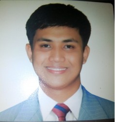 Wordpress Developer