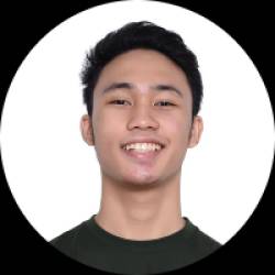 Programmer and Voice Actor