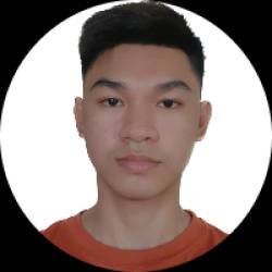 Freelancer