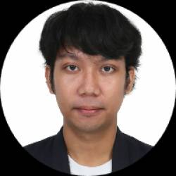 Software Developer