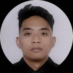 Electrical Engineer / Freelancer