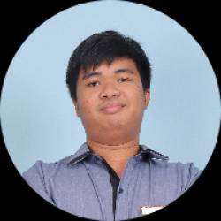 Software Developer