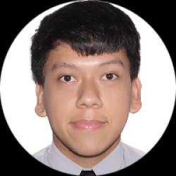 Electrical Engineer with experience overseas