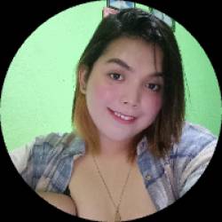 Executive Virtual Assistant