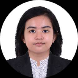 Business Intelligence Analyst