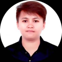 Professional Civil Engineer