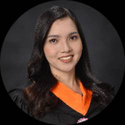 Civil Engineer