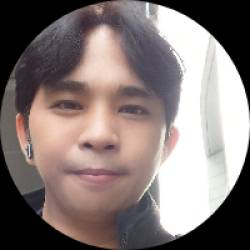 Full Stack WordPress Developer