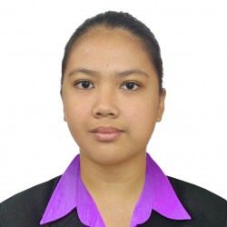 Web Application Developer