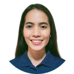 Physical Therapist