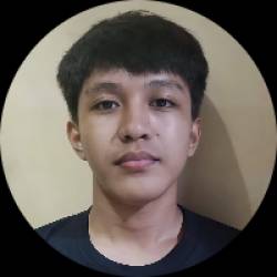 Frontend Developer Specializing in AI Interaction