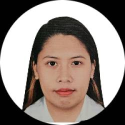 Senior Audit Analyst