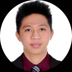 Software Developer
