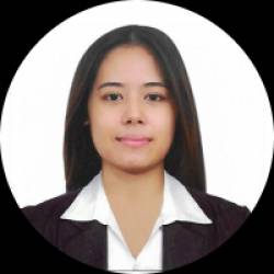 Auditor