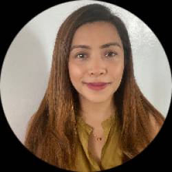 Business Intelligence Expert