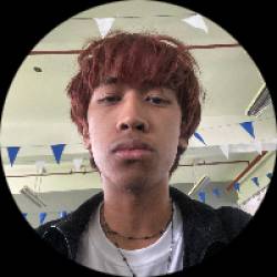 Digital Artist