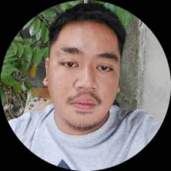 Associate Project Manager