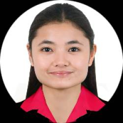 Civil Engineer