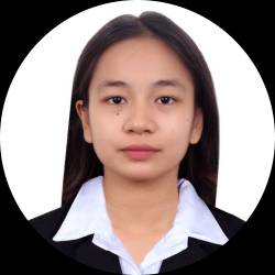 Civil Engineer