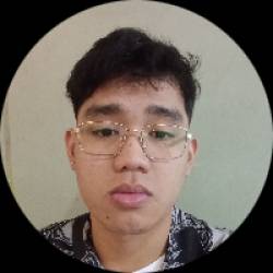 Fraud Analyst