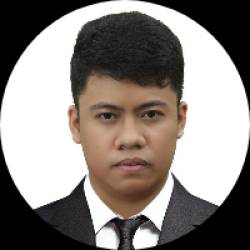 Software Developer