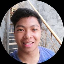 web developer/Flutter mobile apps/Laravel/NodeJS Developer/F