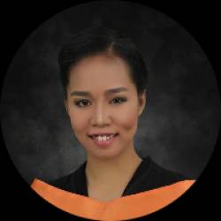 Project Engineer